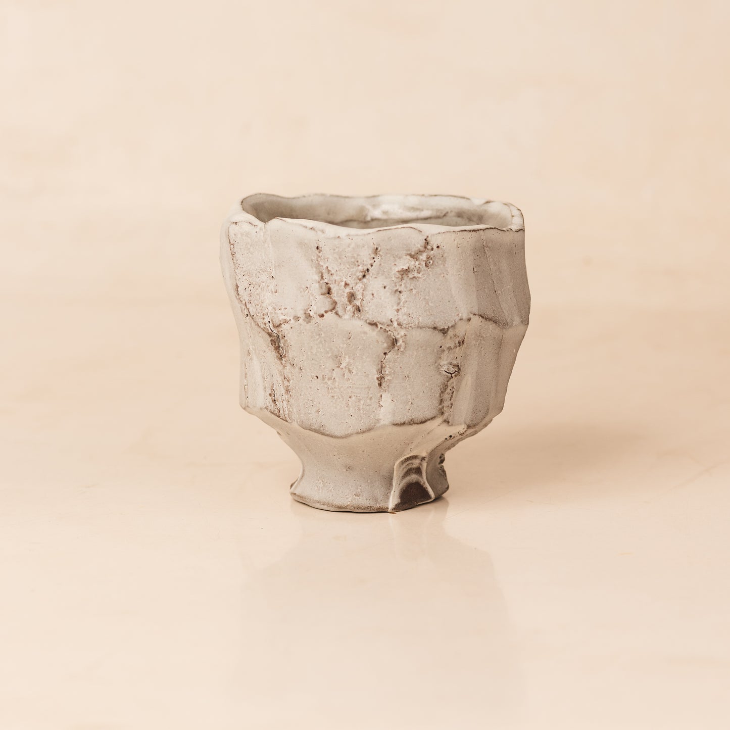 Pinecone Mug