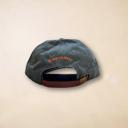 Ojo Caliente Roadrunner Cap - Assorted