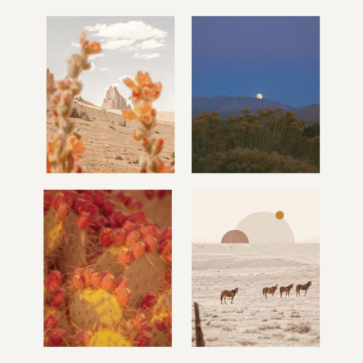 Desert Dream Notecard Set