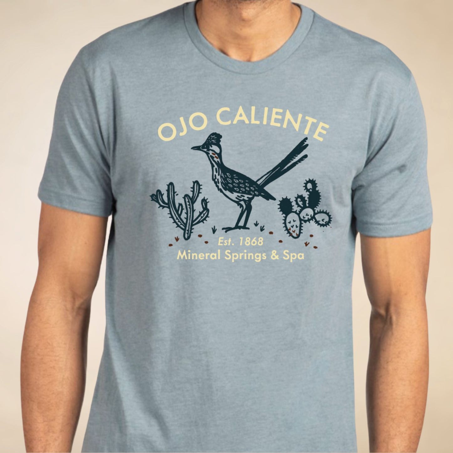 Ojo Caliente Roadrunner Tee - Assorted