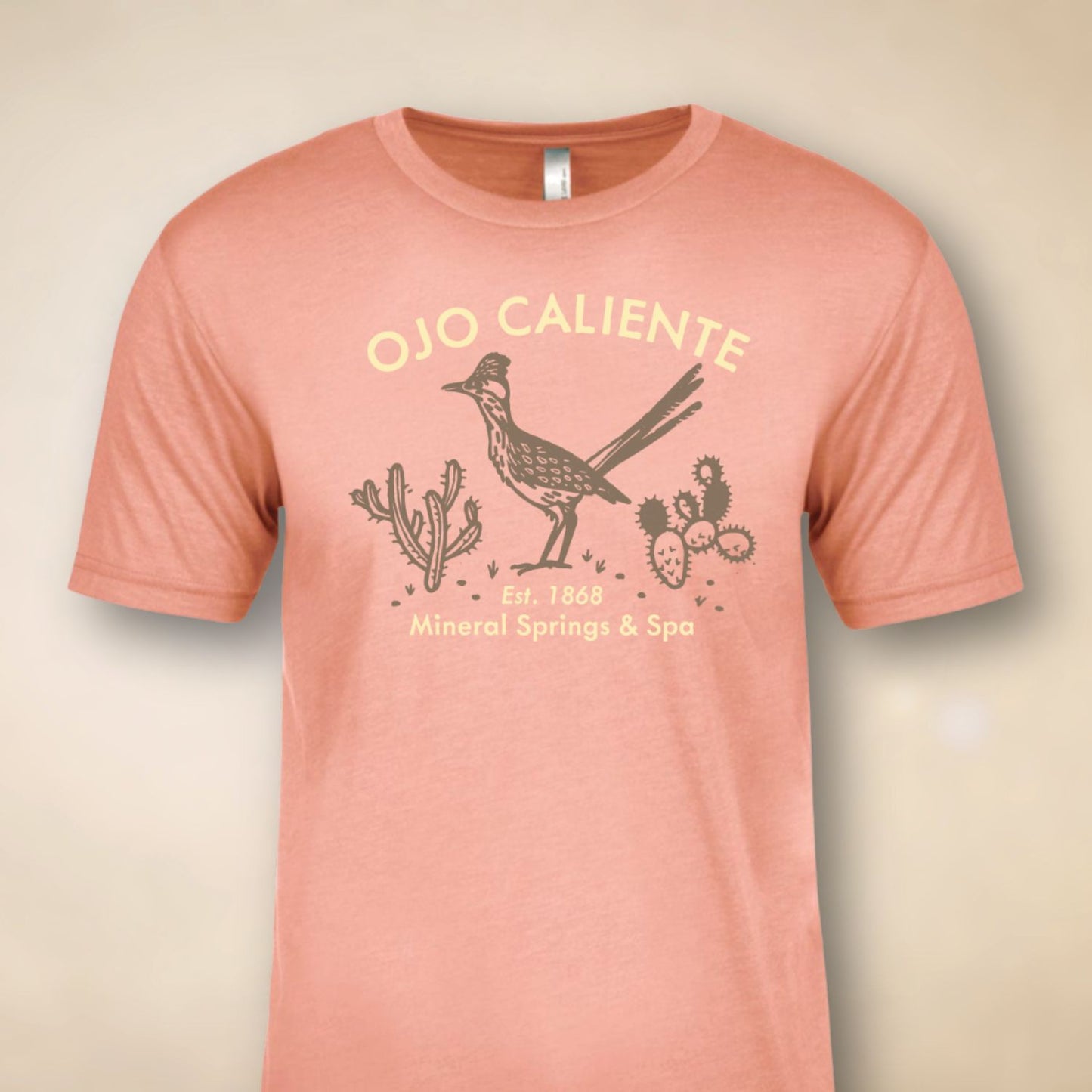 Ojo Caliente Roadrunner Tee - Assorted