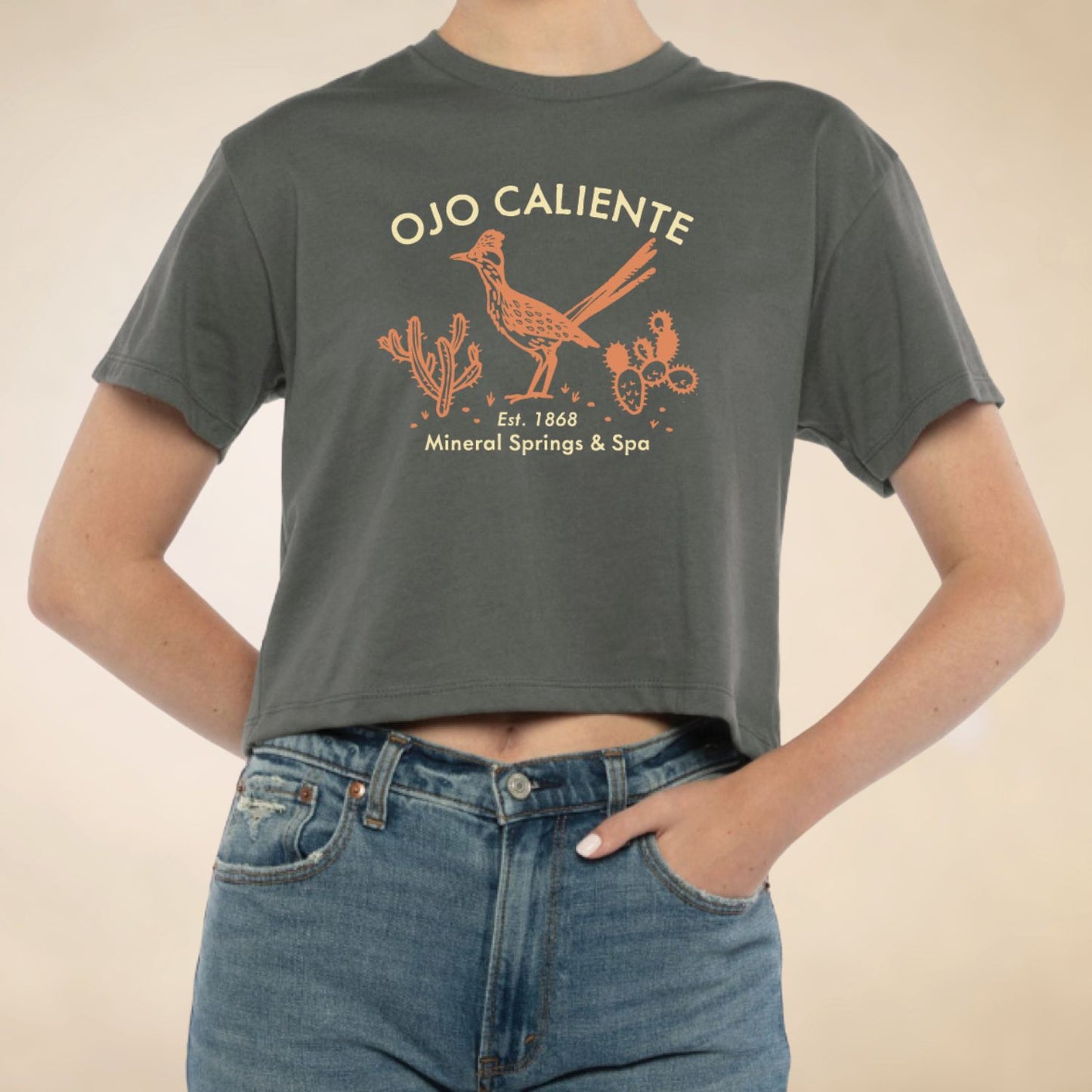 Ojo Caliente Roadrunner Crop Tee - Assorted