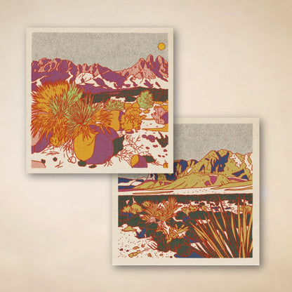 Morning Desert Postcard Set