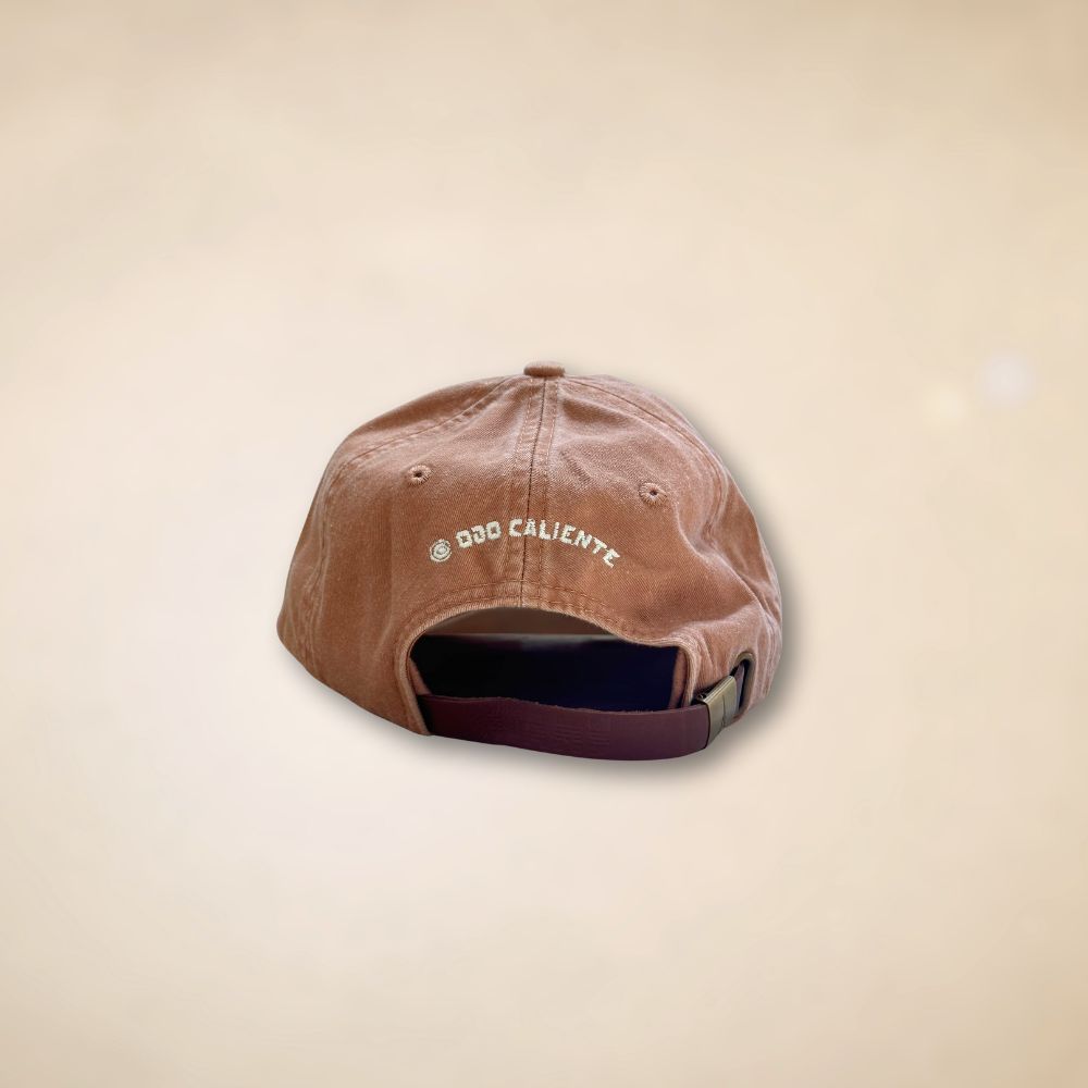 Ojo Caliente Roadrunner Cap - Assorted
