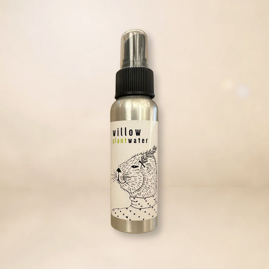 Willow Plantwater Hydrosol